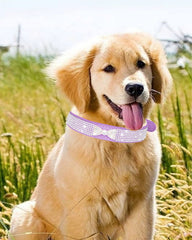 Aecllcea collar morado con cristales brillantes para paseos