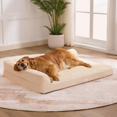 Aeroluxe cama perro grande: espuma ortopédica para distribuir el peso