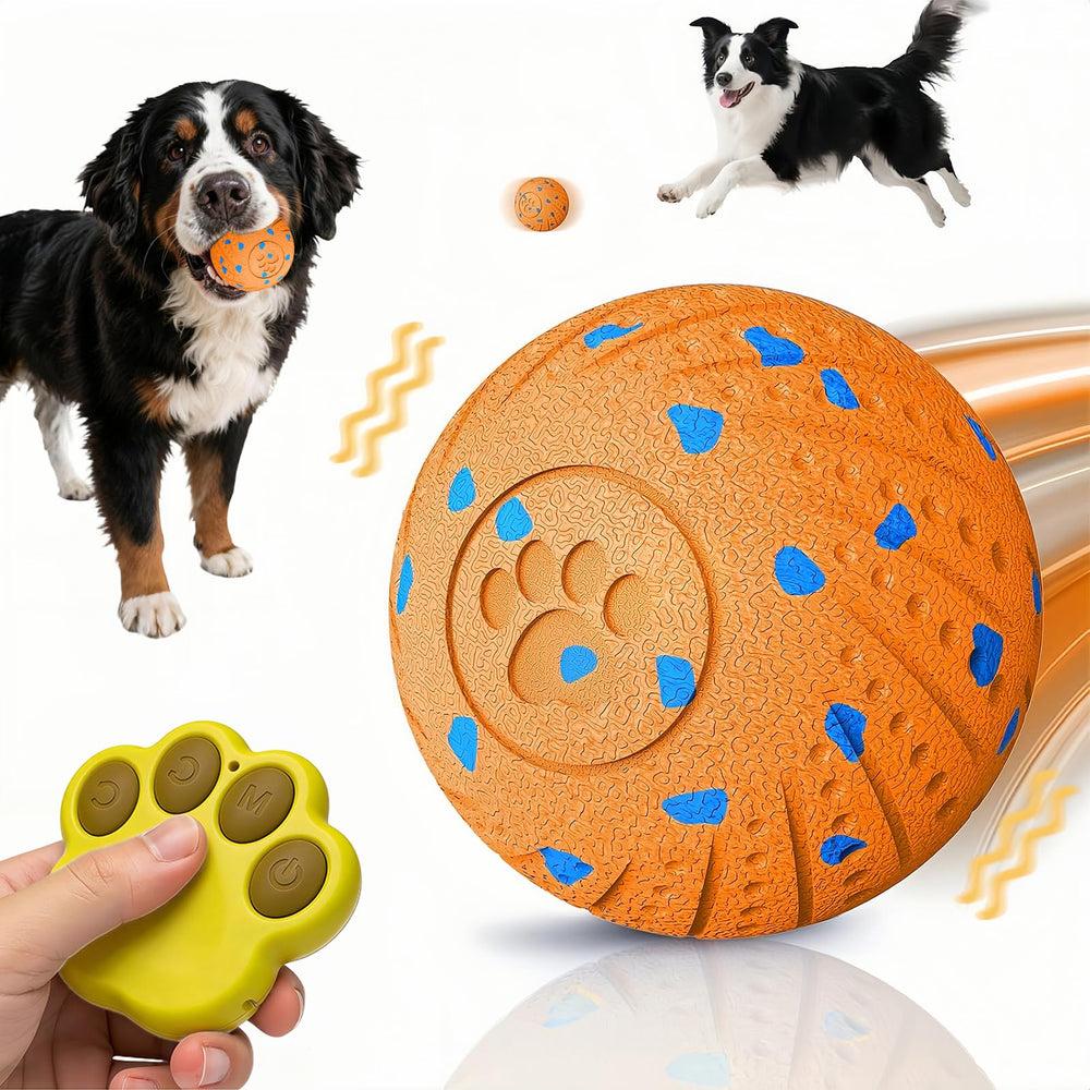 Affiuya bola interactiva para perro con control remoto, fomenta obediencia y juego.