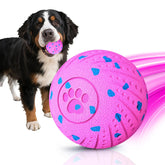 La pelotita interactiva Affiuya con rebote automático para juego activo.