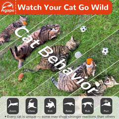 Juego natural de gato con Agape y hierba gatera