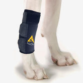 Agon Dog Front Leg Brace para la pata delantera brinda compresión estable para la movilidad.