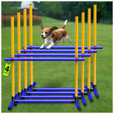 AHAILUOO Barra de ajuste de altura para perro, ideal para entrenar en casa.