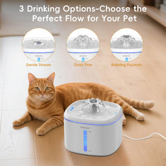 Filtros reemplazables AIAUON mantienen agua más limpia para tu mascota.