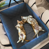 AIEDOULER extensor trasero para perros con base firme y seguridad