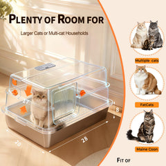 Interior espacioso de la caja AIFUN para varios gatos y juego cómodo