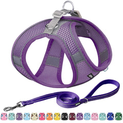 Arnés Aiitle anti-escapadas morado XL para mayor seguridad al paseo