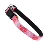 Collar Aiminto con patrón floral y neopreno acolchado para paseos cómodos.
