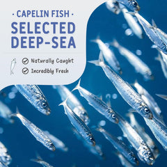 Detalle de peces capelín deshidratados; fuente natural de proteína para mascotas.