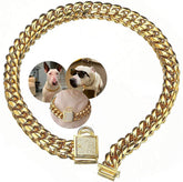 Collar para perros Aiyidi, cadena oro 14mm, cómodo y duradero para uso diario.