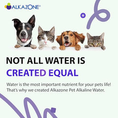 Alkazone Uso diario en mascotas, solución práctica para el consumo de agua.