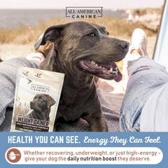 All American Canine polvo caldo de res para perros, fuente de calorías y energía.