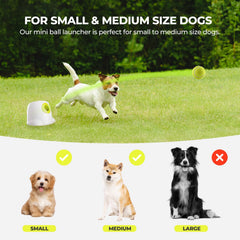 All For Paws diseño durable ofrece juego prolongado y fiable