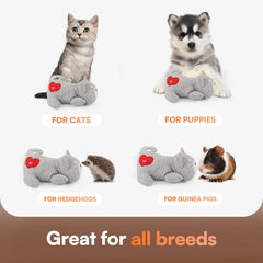 ALL FOR PAWS peluche uso fácil, requiere baterías AAA (no incluidas).
