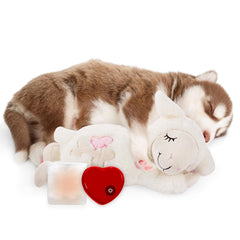 ALL FOR PAWS Juguete con latido para cachorro, sensación de seguridad.