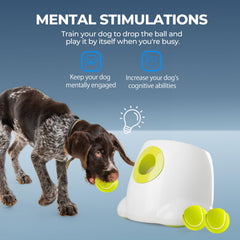 ALL FOR PAWS Juguete interactivo para perros facilita sesiones constantes de juego en casa.