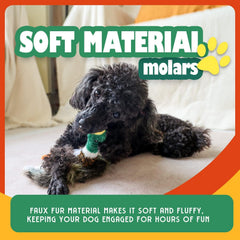 ALL FOR PAWS juguete pato para perros medianos y grandes, entretenimiento y ejercicio