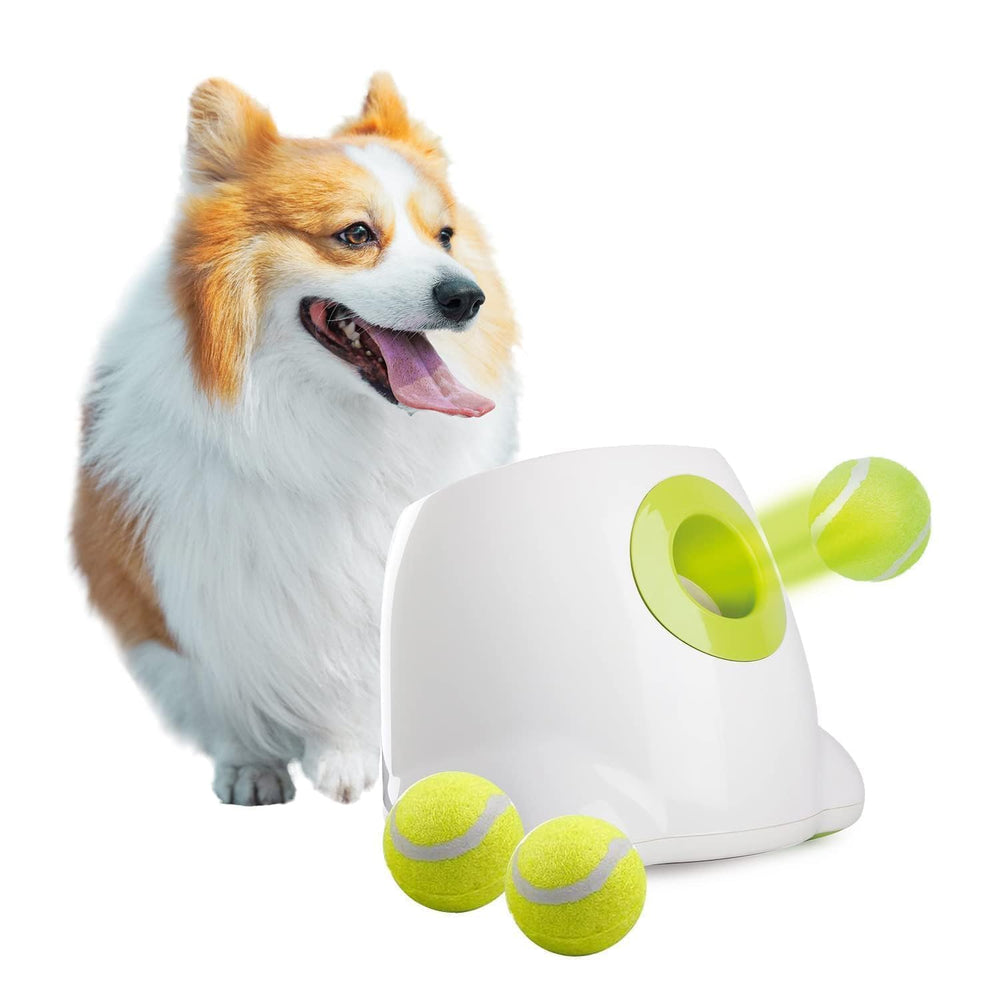 ALL FOR PAWS Lanzador automático con pelotas incluidas, ideal para juego en casa.