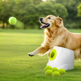 ALL FOR PAWS Lanzador automático para perros en exterior, ideal para juego activo.