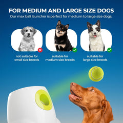 Pelotas incluidas ALL FOR PAWS para un uso práctico y seguro.