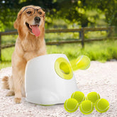 ALL FOR PAWS Lanzador automático de bolas para perros activos
