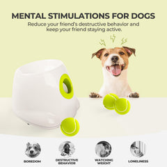 All For Paws pelotas 2 pulgadas incluidas perfectas para un uso seguro
