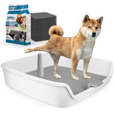 ALL FOR PAWS porta-absorbentes XL, vista general para entrenamiento en casa.