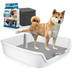 ALL FOR PAWS porta-absorbentes XL, vista general para entrenamiento en casa.