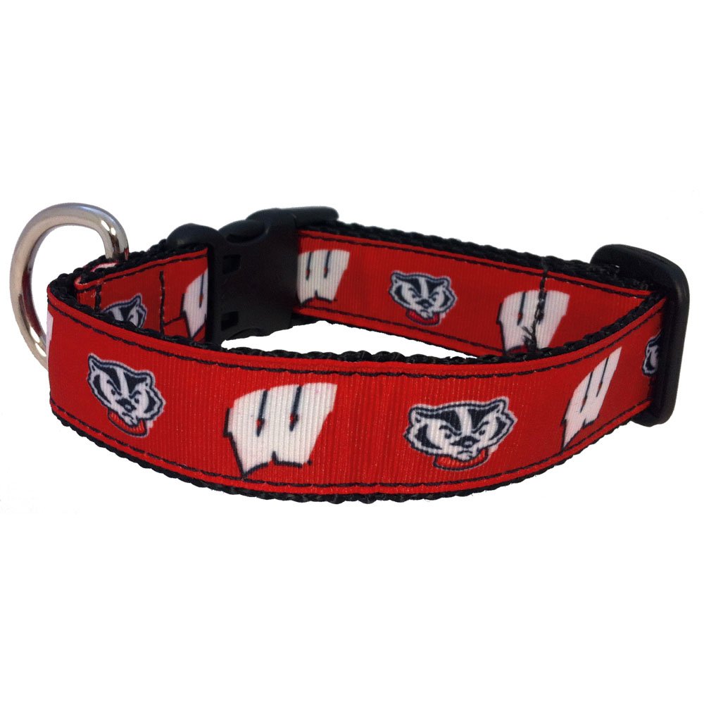 Collar All Star Dogs con logotipo de Wisconsin Badgers en el frente, perfecto para paseos con orgullo