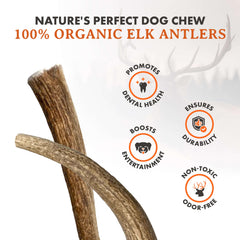 Alpha Dog Nutrition cuernos de ciervo grandes, masticación duradera para perros grandes.