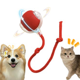 AMATFFUG bola rodante interactiva en uso para mascotas activas.