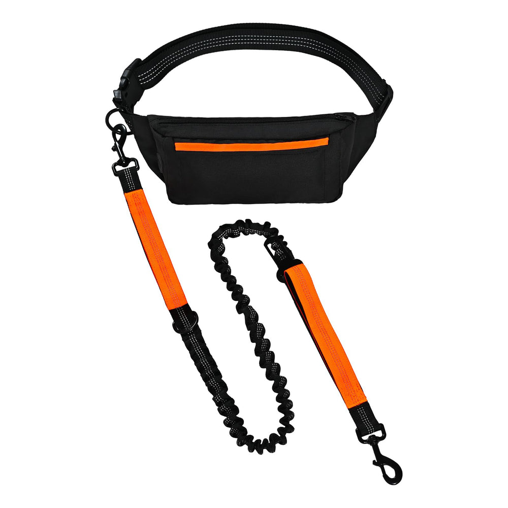 Amazon Basics: correa mano libre para perros, paseos sin esfuerzo.