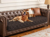 Ameritex cobertor impermeable para perro en sofá, protege contra derrames.