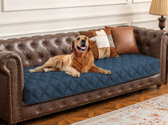 Ameritex funda impermeable para perro sobre sofá protege muebles frente a derrames