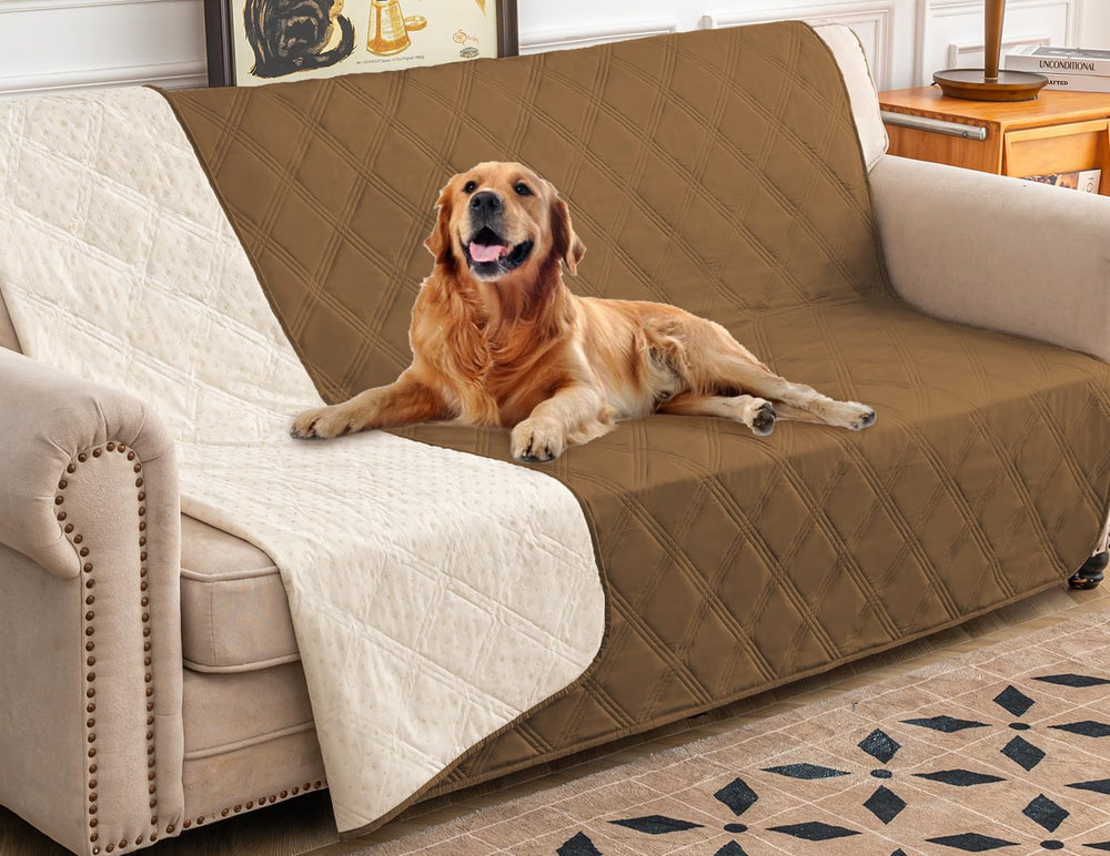 Ameritex funda impermeable para perro sobre sofá ofrece protección frente a manchas.
