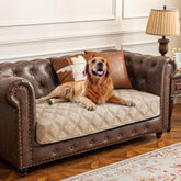 Ameritex cobertor impermeable para perro en sofá, protege contra líquidos.