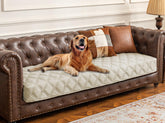 Ameritex cubre sofá impermeable para perros, protege contra manchas y humedad.