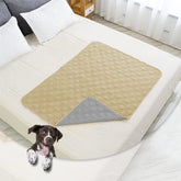 Ameritex funda impermeable para perro sobre sofá protege el mueble.