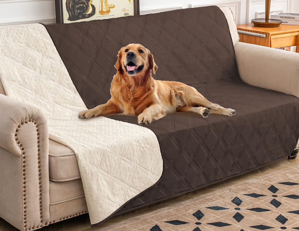 Funda impermeable Ameritex para perro en sofá, protege muebles de líquidos y manchas.