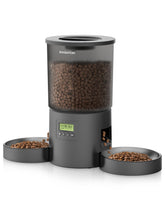 AMIAORICAN alimentador automático para dos gatos, vista general para horarios consistentes