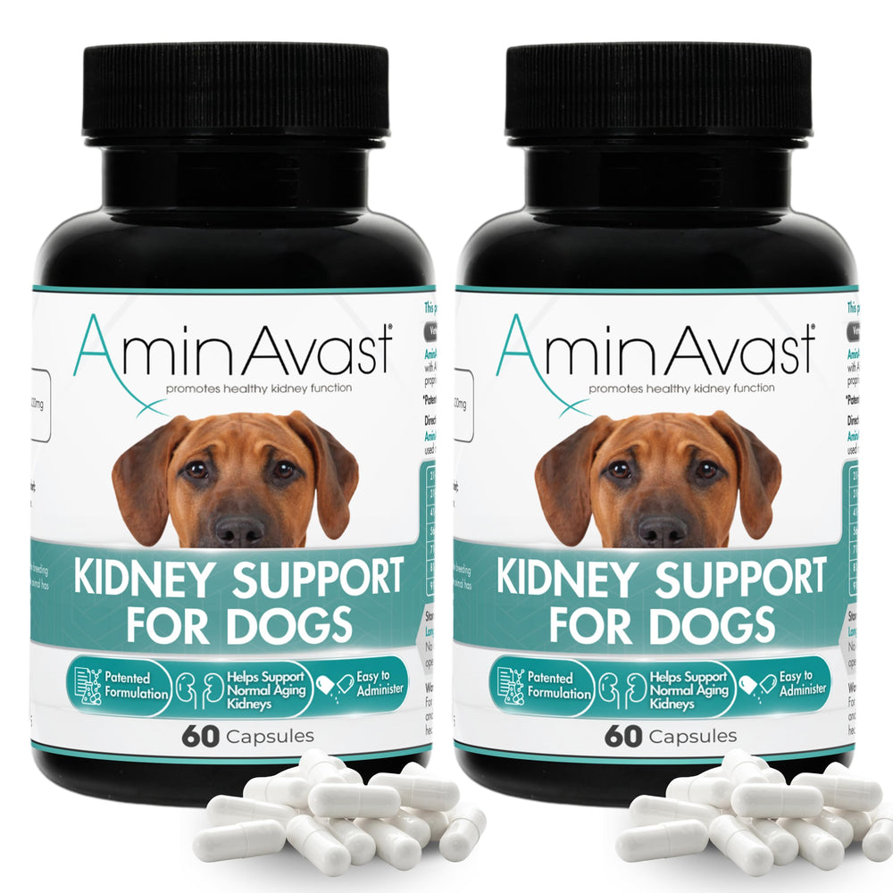 AminAvast: cápsulas espolvoreables para apoyo renal en perros, fáciles de mezclar en comida.