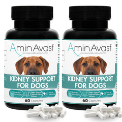 AminAvast: cápsulas espolvoreables para apoyo renal en perros, fáciles de mezclar en comida.