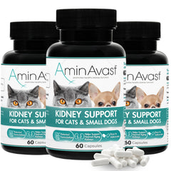 AminAvast: botella de cápsulas espolvoreables para soporte renal en gatos y perros pequeños.