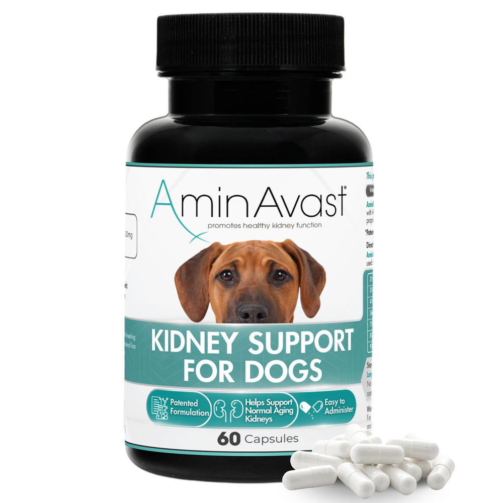 AminAvast frasco 1000 mg, soporte natural para riñones de mascotas.
