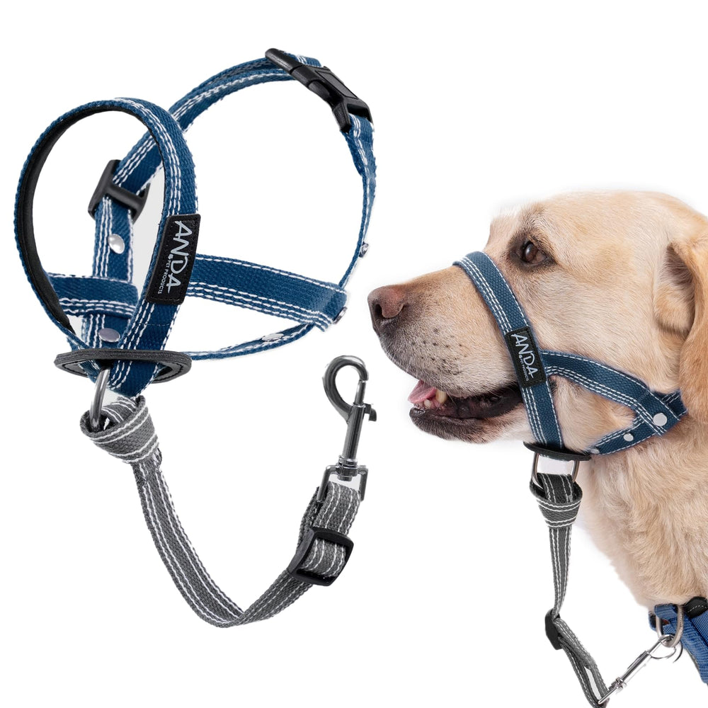 ANDA collar guía suave ultraligero con ajuste ergonómico para paseos diarios