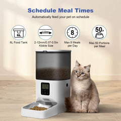 ANDOLL HOME grabación de voz 10 segundos para llamar al gato a comer.