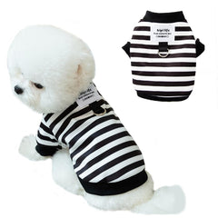 Anelekor sudadera para perro con rayas negras, vista frontal, ropa cálida para paseos diarios.