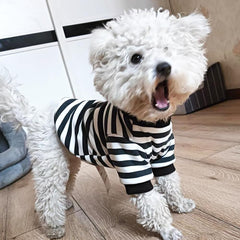 Anelekor sudadera, material suave y cálido, confort diario para tu mascota.