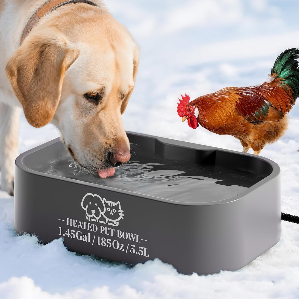 Angelspet bebedero calefactor exterior para perros y gatos mantiene agua disponible.