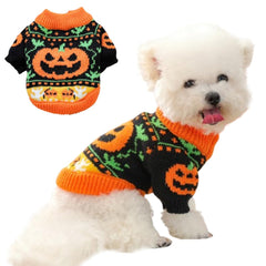 ANIAC sudadera calabaza para perros y gatos, vista frontal, estilo festivo y cómodo